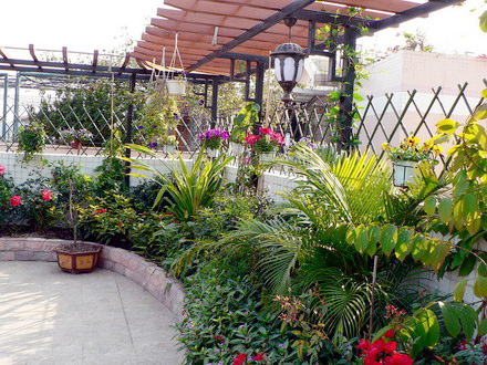 庭院花壇、花缽設(shè)計構(gòu)思設(shè)計思路